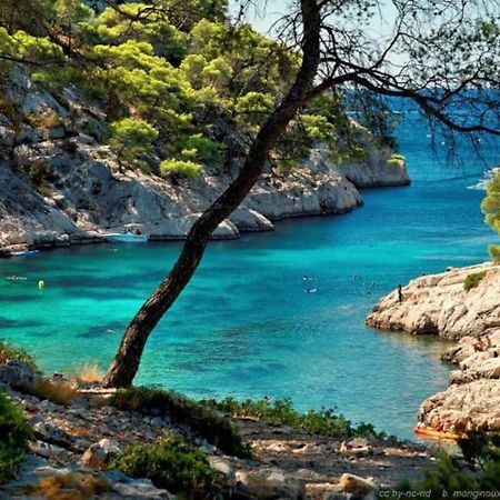 Ciotat Colada Beau Duplex Atypique A 50 M Du Port Classe 3 Etoiles Λα Σιοτά Εξωτερικό φωτογραφία
